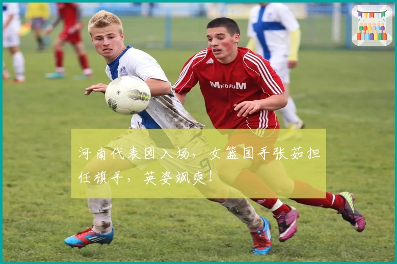 河南代表团入场,女篮国手张茹担任旗手,英姿飒爽!