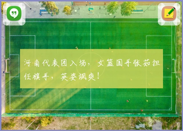 河南代表团入场，女篮国手张茹担任旗手，英姿飒爽！