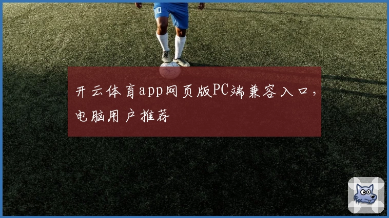 开云体育app网页版PC端兼容入口,电脑用户推荐