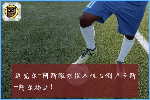 迈克尔-阿斯维尔技术性击倒卢卡斯-阿尔梅达！